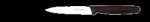 Knife Victorinox - Paring 100MM Plain