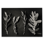Monochrome Pins 4 Art Print - A2 No Frame Print Only