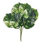 Money Plant 40CM
