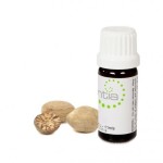 Escentia Nutmeg Essential Oil - 11ML