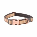 Rogz Urban Classic Medium Dog Collar - Gold Rush Waggs Online Pet Shop
