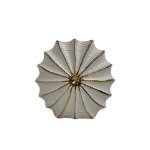 Goldair Gold And White Starfish Shaped Pot 23X24CM