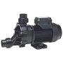 Speck Pumps 1.10KW BADU45/20 Non Self-priming Spa Pump