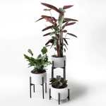 Trio Metal Planter Set Ceramic Pots Included