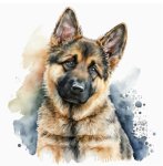 Dog Diamond Painting Kit DAPD3