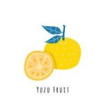 Yuzu Citrus Junos Concentrate S supa - 10ML