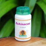 Echinacea 50 Capsules Willow