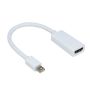 MINI Display Port To HDMI Adapter