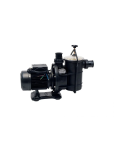 Pool Pump And Motor 1.1KW Eartheco Eq eque