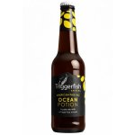 Potion Apa By Triggerfish Brewing - Case 12