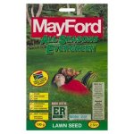 Mayford All Seasons Evergreen 100G