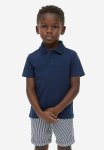 Cotton Shorts - Dark Turquoise Striped
