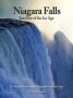 Niagara Falls - Survivor Of The Ice Age: The Natural History Of The Niagara River And Its Gorge   Hardcover