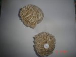 Desert Rose Sand Rose Large Assorted ROU15