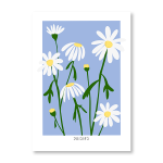Daisies Art Print - A1