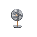Boden Stark 30CM Desk Fan