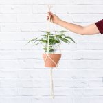 Macrame - Classic - Hanger & 17CM Terracotta Azalea Excl. Plant
