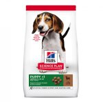 Canine Puppy Medium Lamb & Rice Dog Food - 12KG
