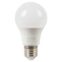 Eurolux A60 LED Light Bulb Classic Core E27 6W Cool White