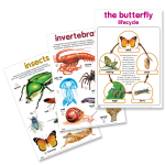 Educat 3 Wall Chart Basic Education Pack 10