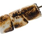 Toasted Marshmallow Flavor Concentrate - 50ML