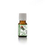Lentisque Leaf Mastic Pistachia Lentiscus Essential Oil - 10 Ml