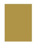 Folia 6365 Coloured Paper Din A3 50 Sheets Gold