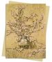 Charles Coleman: Apple Blossom Greeting Card Pack - Pack Of 6   Cards Pack Of 6