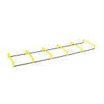 Elevation Ladder Skills Training Accessory