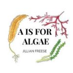 A Is For Algae Hardcover