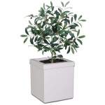 Carrington Plant Pot - Large 600MM X 590MM Amper