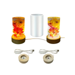 Cylinder LED Light Resin Silicone Mold Kit