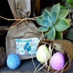 Growing Plantable Eggs