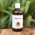 Wild Yam Tincture 100ML Willow
