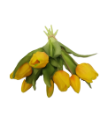 Tulip Bunch - Yellow 30CM