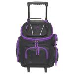 Large Girls Trolley Case 797-70SG