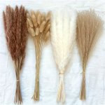 38PCS Dried Pampas Grass Bundle - Natural Boho Home Decor Rabbit Tail Dry Flowers For Party Decoration Centerpiece & Floral Arra