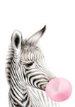 Bubble Gum Zebra Pink - Canvas Print - 600MM X 600MM