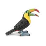 Toucan By