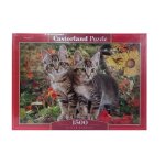 1500 Pce Castorland Kitten Buddies