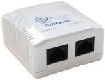 Surface Wirespeed Box CAT6 2 Port