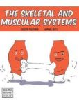 Skeletal And Muscular Systems Hardcover