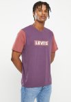 Levi's Short Sleeve Relaxed Fit Tee Colorblock Bt - Hortens