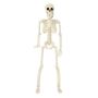 Decor Plastic Halloween Posable Skeleton Ornament For Decoration - 40CM