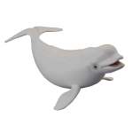Sealife Beluga Whale
