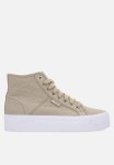 Manual Hi Platform
