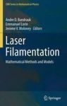 Laser Filamentation - Mathematical Methods And Models Hardcover 1ST Ed. 2016
