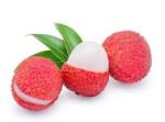 Lychee Concentrate Sc - 10ML