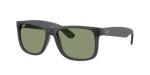 Ray Ban RB4165 Justin