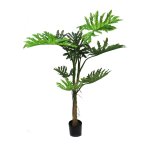 Philodendron 130CM